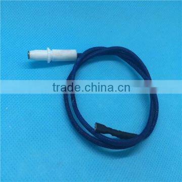 Ignition electrodes ceramic igniter needles
