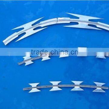 hot-dipped or electrol galvanized razor barbed wire(Anping Factory)