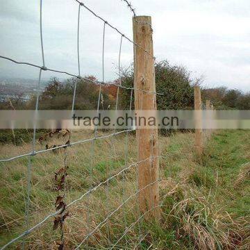 backyard metal fence