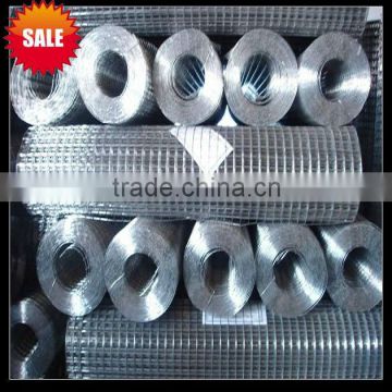 1/4" Welded Rabbit Cage Wire Mesh