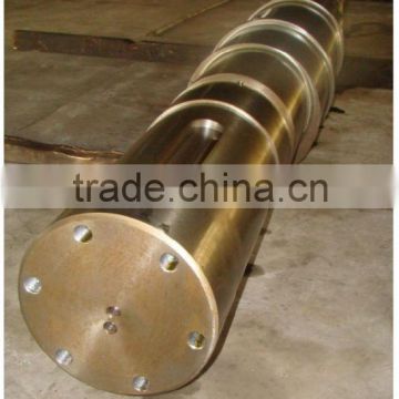 non-standard eccentric shaft