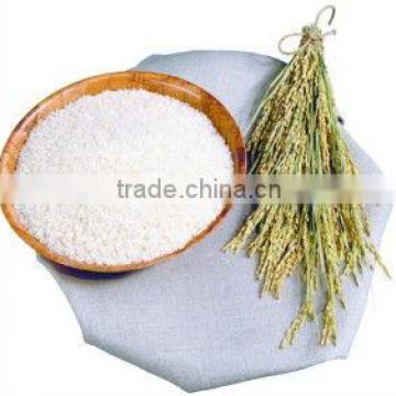 china supplier rice protein peptide with no allergen