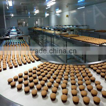 Cookies Cooling Conveyor System photo-2