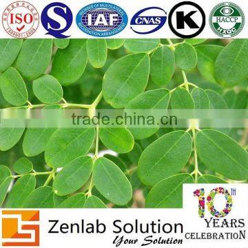 Moringa Oleifera leaf extract powder