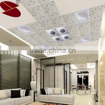 Modern Mobile home interior decorating ceiling panel