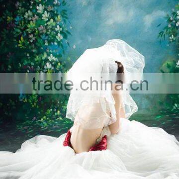 9 x 5 Meters Hand Painted Wedding Muslin Background For Studio Shooting