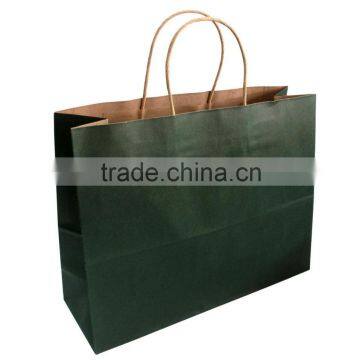 Printed paper twist Handle Kraft Paper Bags