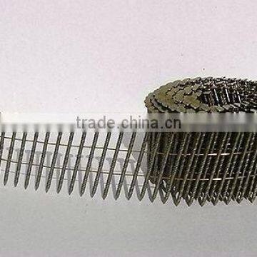 High Quality Free Sample Common Coil Nail photo-2