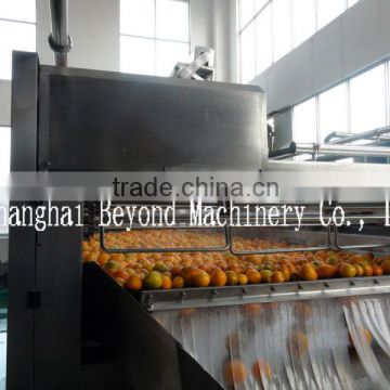 citrus juice processing line orange juice production plant