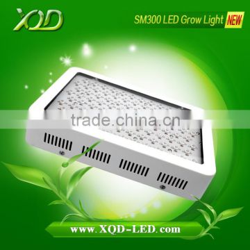 UV Red Blue indoor hydroponic 300w led grow lamp