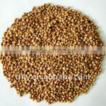 Buckwheat Rice New Crop 2011