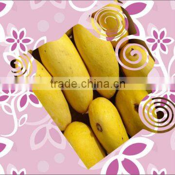 Pakistani Mango