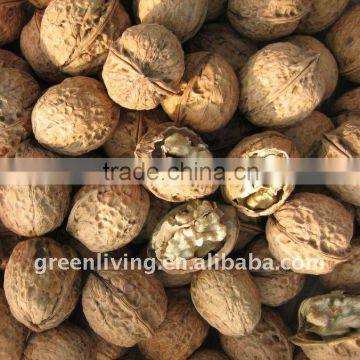 China walnuts for sale