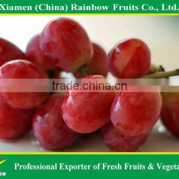 Fresh Fruit of Yunnan Red Globe Grape With Good Taste Grapes Peru Seedless Grapes photo-4