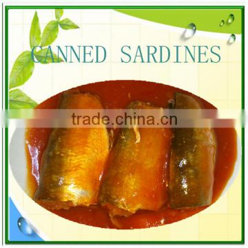 Canned Sardine in Tomato Sauce