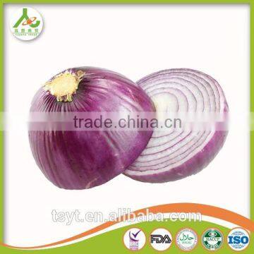 Fresh Red Onion Yellow Onions photo-4
