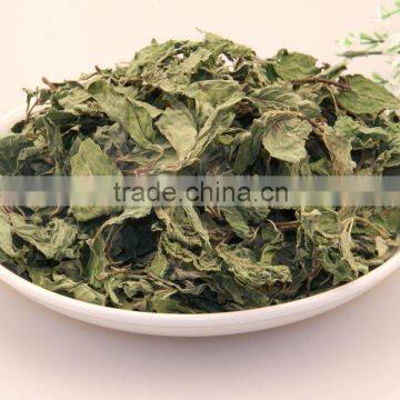 Class One MintLleaf Peppermint Leave