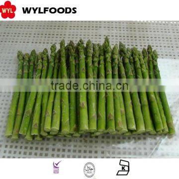 IQF frozen asparagus green with good quality