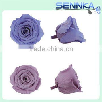 Natural Preserved Fresh Flowers Preserved Roses Wholesale photo-3