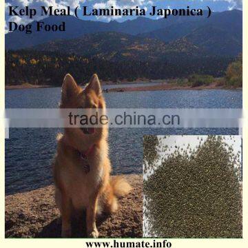 Hot Selling Animal Feed Additive Kelp Meal