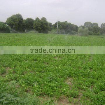 Plastic Nozzle for Sprinkler Irrigation System photo-6