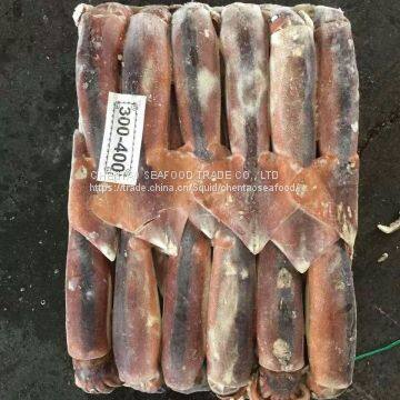 Frozen squid