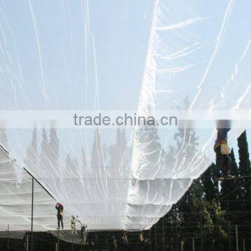 HDPE Agriculture Vineyard Plastic Apple Tree Anti Hail Net for Plantations photo-6