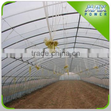 Hot Sale Cheap Poly Agriculture Potato Tunnel Greenhouse