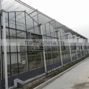 High Quality Glass Covered Tomato Seed for Greenhouse photo-4