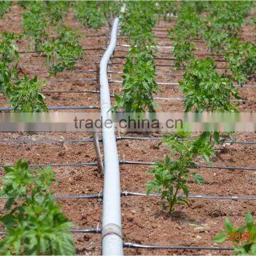 Drip Irrigation Pipe, Drip Inline Pipe, PE Irrigation Pipe photo-4