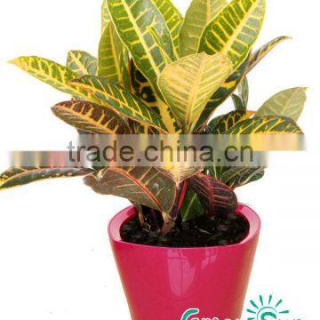 self-wateing rectangle plant pot plastic planter boxes