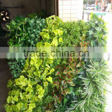 Vertical Grass Climbing Green Wall photo-2