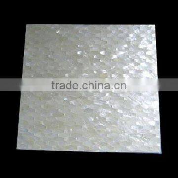 White Mother Of Pearl Wall Tile