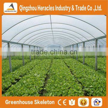 Heracles Trade Assurance Low Cost Greenhouse for Agriculture photo-3