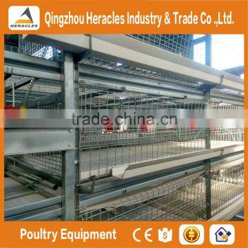 Shandong High Quality Trade Assurance Poultry Equipment Layer Chicken Cage for Sale photo-2