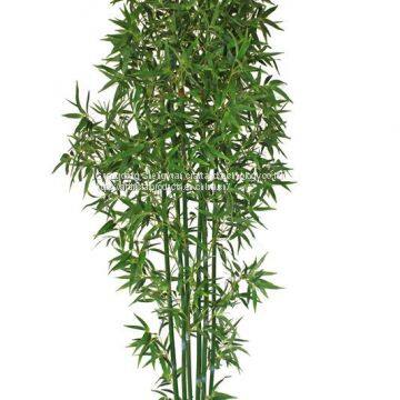 New Product Artificial Bonsai Bamboo Tree With Natural Colour photo-4