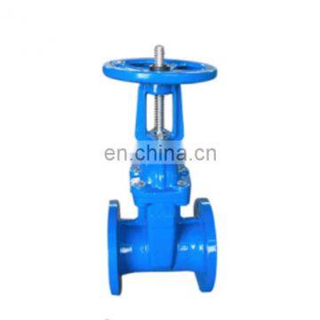 china factory good price  All kinds of gate valve