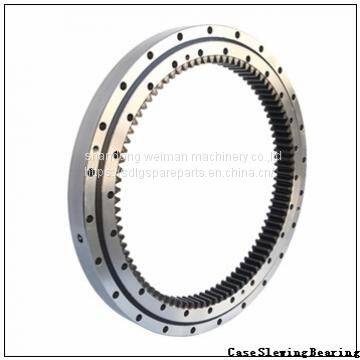 Case Slewing Bearing