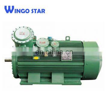 YB2 Series Three Phase Explosion Proof Induction Electric Motor photo-3