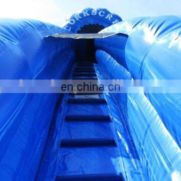 Large Inflatable Water Slides for Adult / Large Inflatable Water Slides / Large Inflatable Slides for Sale photo-4