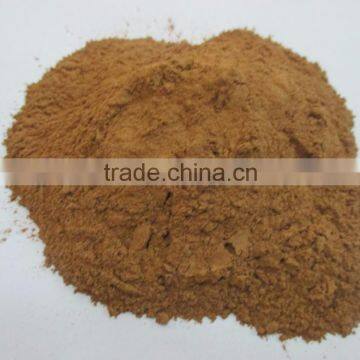 Litsea glutinosa/Joss Powder/Maida Tree Seeds Litsea glutinosa