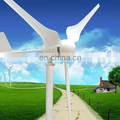 300w 12v 24v Alternative Energy Good Price Wind Generator for Home and Low Wind Area Vertical Wind Turbine