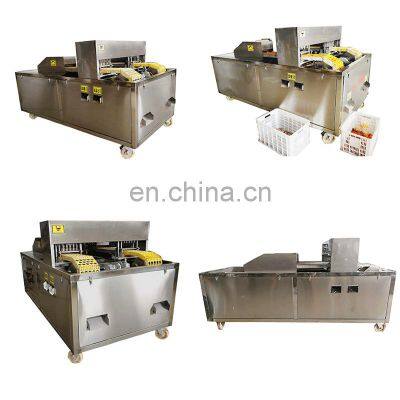 One Class Factory OLQH-190 Model Plum Seed Core Pit Remover Separator Machine on Sale photo-5