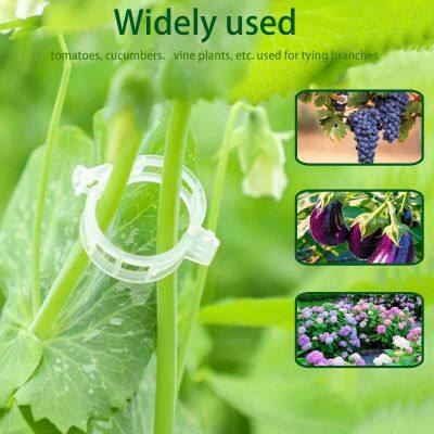 Agricultural Gardening Planting Vine Support Fixing Clip Tomato Fruit Snap Ring Buckle Clips for Plants photo-3
