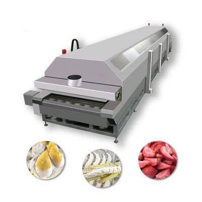 blast Automatic IQF Fruits Vegetables Washing Slicing Frozen Packing Processing Line for Central Kitchen Food Factory Facility blast frozen