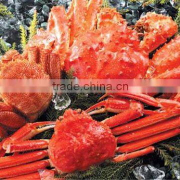 Hot-selling Live Seafood Crab for Buyers , Other Seafoods Also Available photo-2