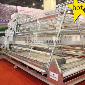 Full automatic galvanized layer chicken cage for Nigeria