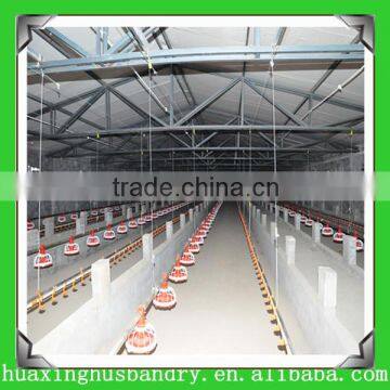 automatic chicken broiler poultry farm house design equipment