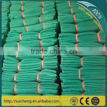 Blue/Green HDPE Construction Scaffolding Safety Net/Scaffolding Safety Net(Guangzhou Factory)