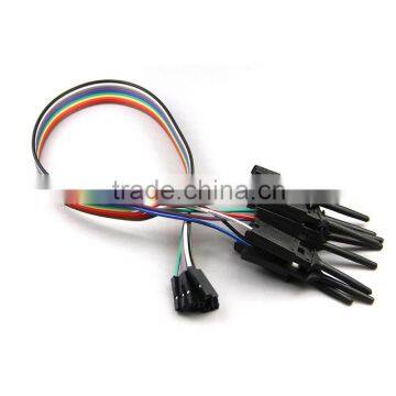 10Pin E052 Black Dupont Line/Cable